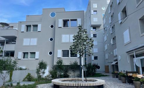 Swiss housing 