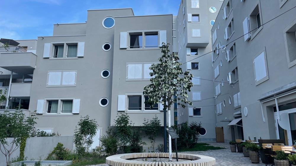Swiss housing